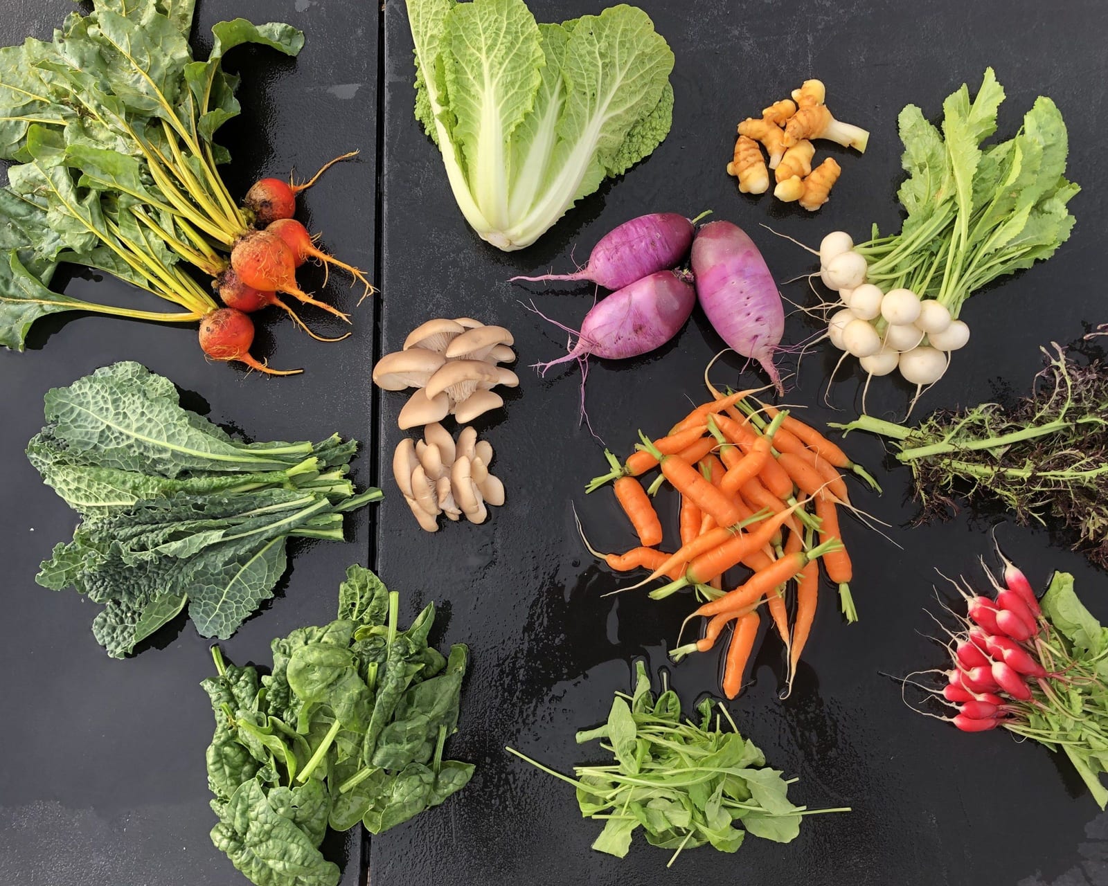 Golden beets, carrots, oyster mushrooms, radishes and turmeric, harvest flat lay