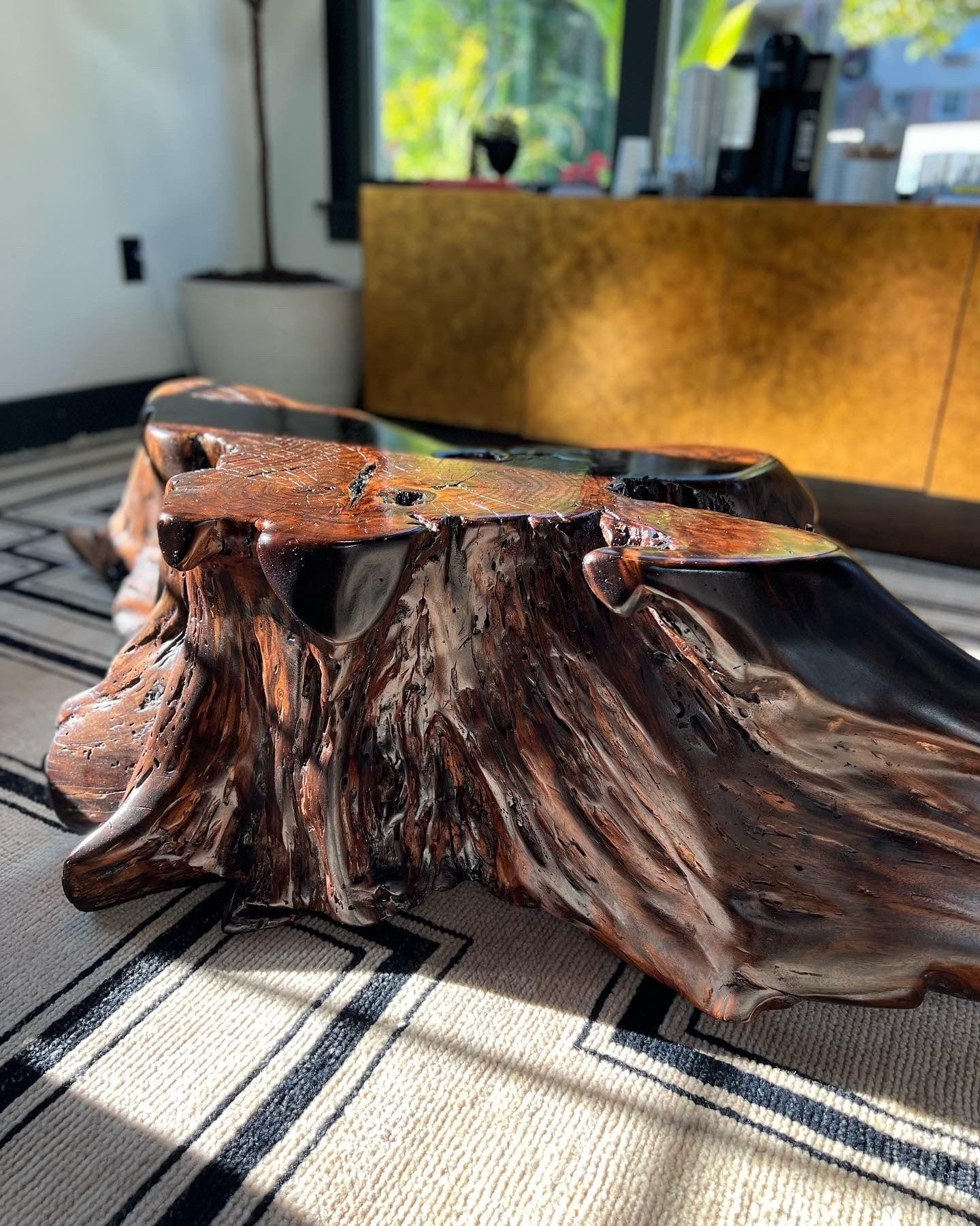 Redwood-tone root and burl coffee table, styled interior