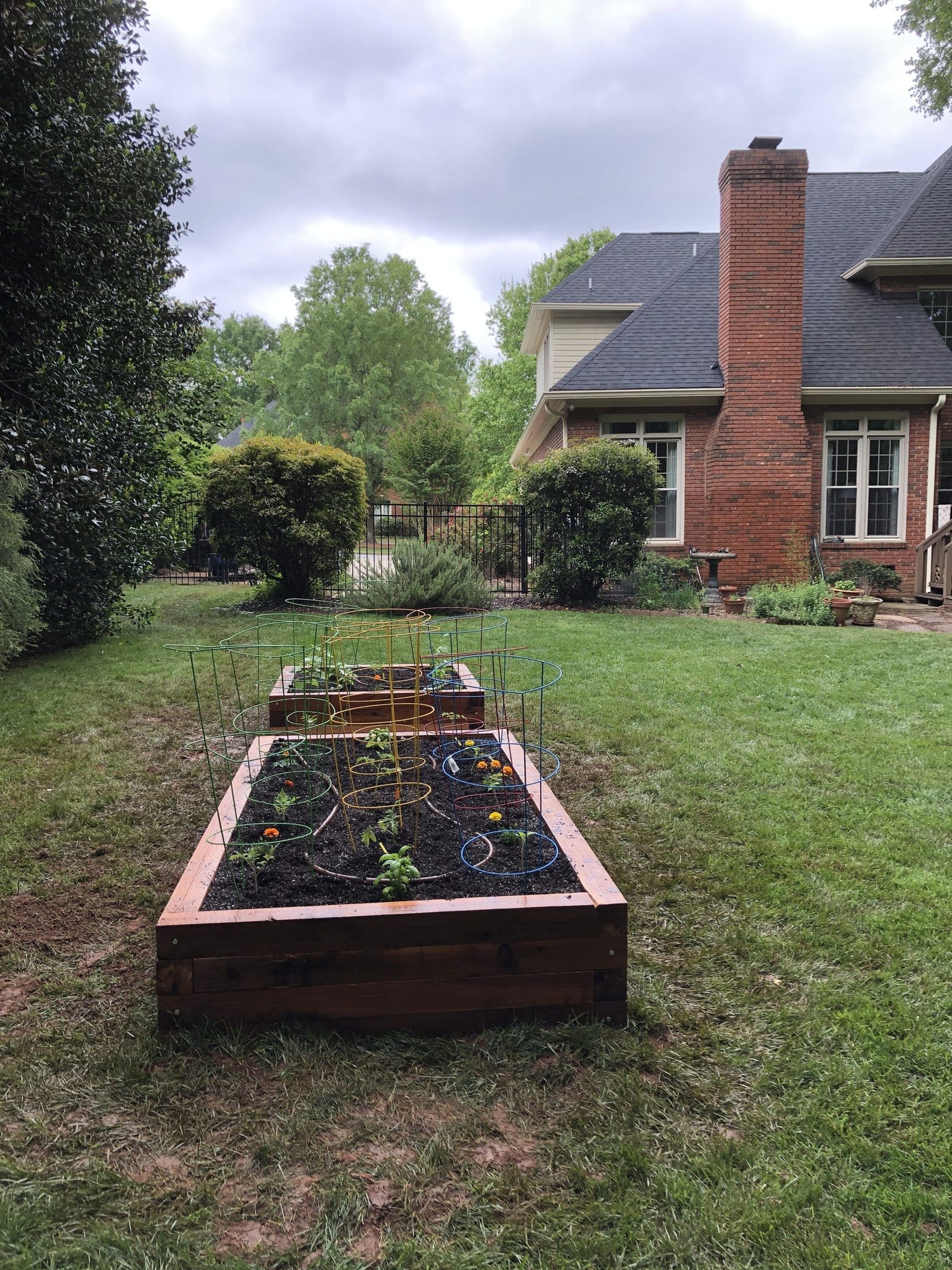 A cedar raised bed planted out with young transplants and cages, at a brick house