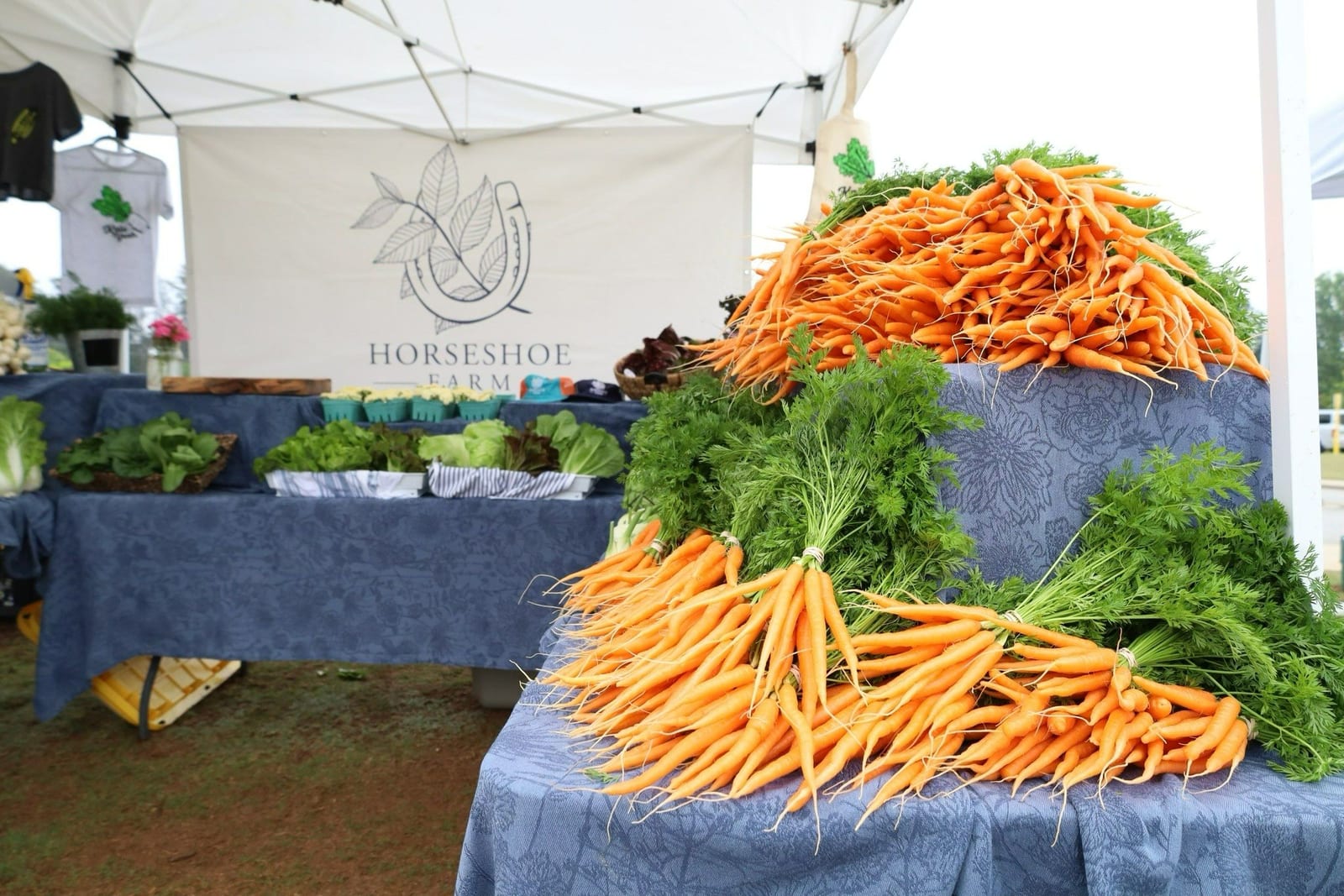 Horseshoe Farm's farmers market booth, carrot mountain