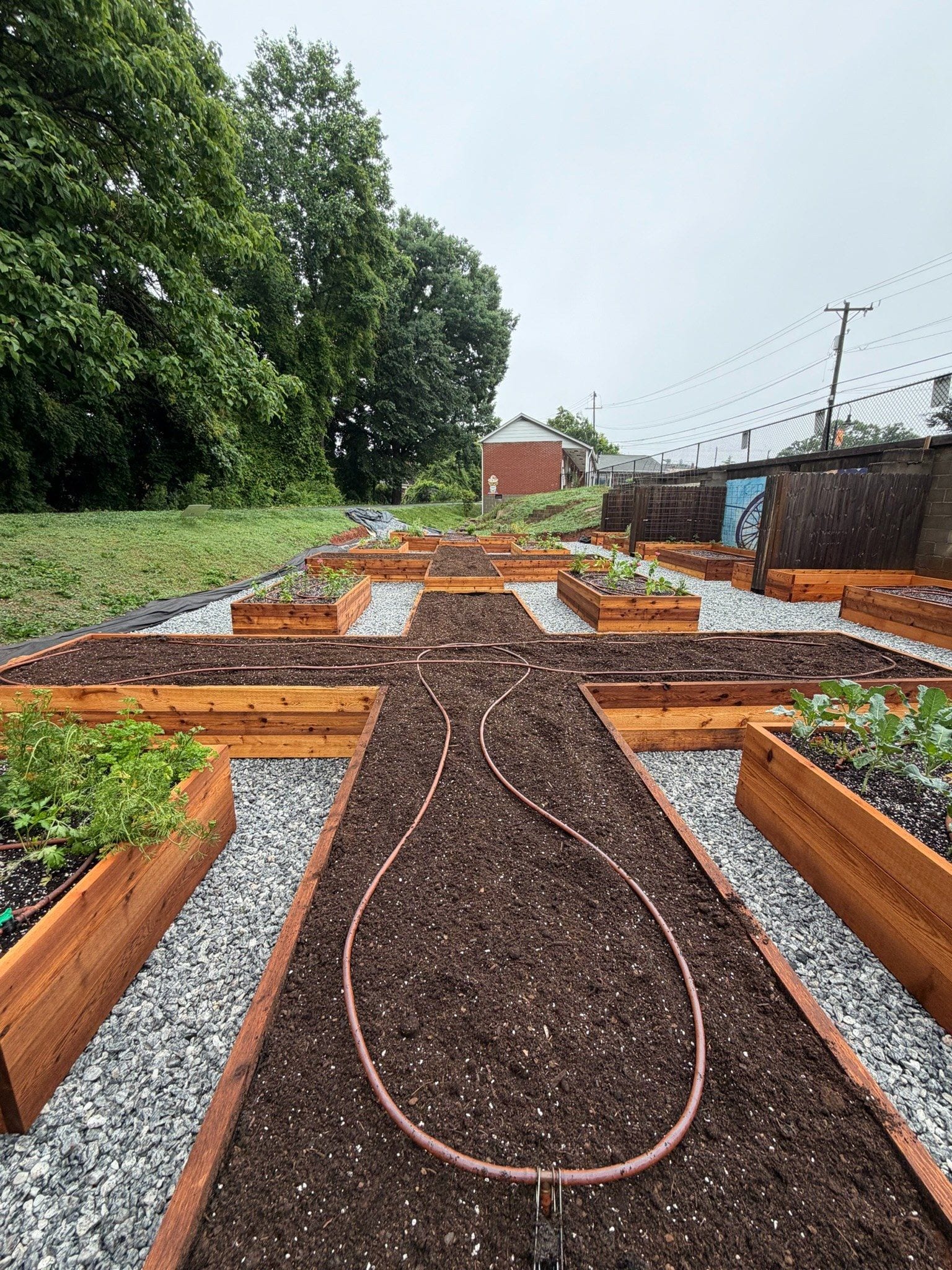 Topsoil beds pre-planting, drip loops down the cross beds