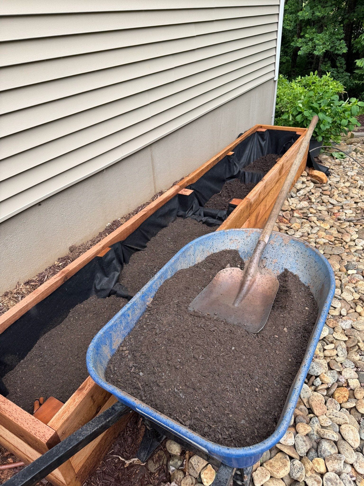A wheelbarrow of soil and a shovel standing over a cedar bed part-filled