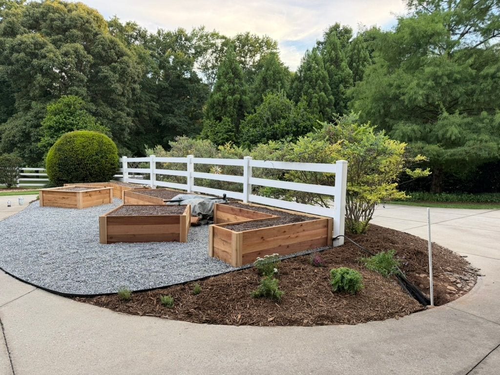 Cedar beds planted and established inside the white-fenced grounds at dusk