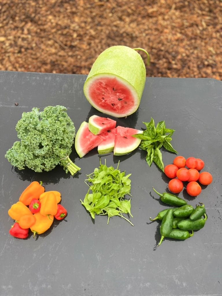 A cut watermelon on the black table with kale, sweet peppers, basil, cherry tomatoes and jalapenos